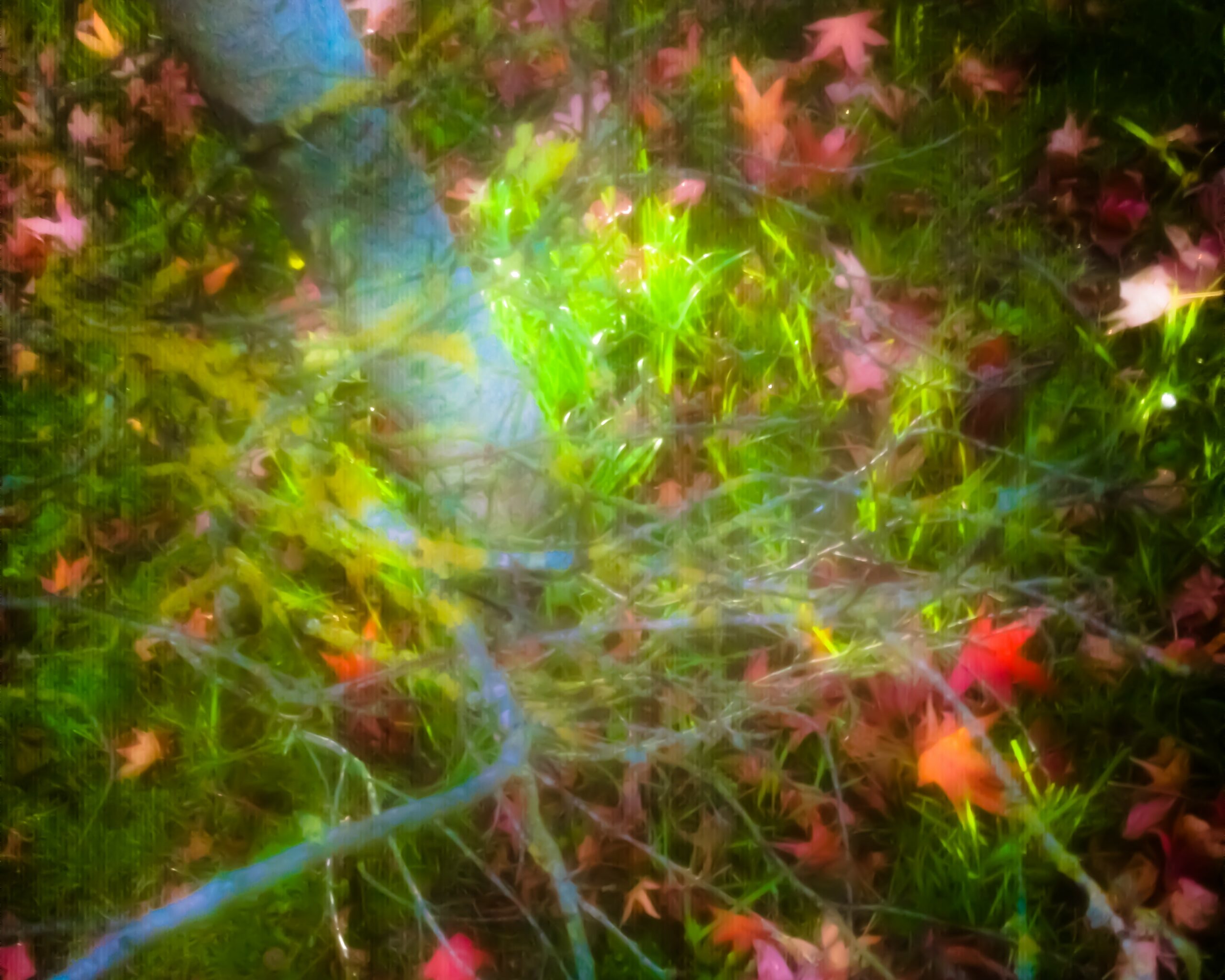 Photographie D